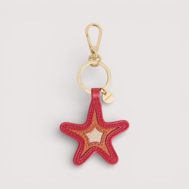 KLÍČENKA HVĚZDICE PATCH...