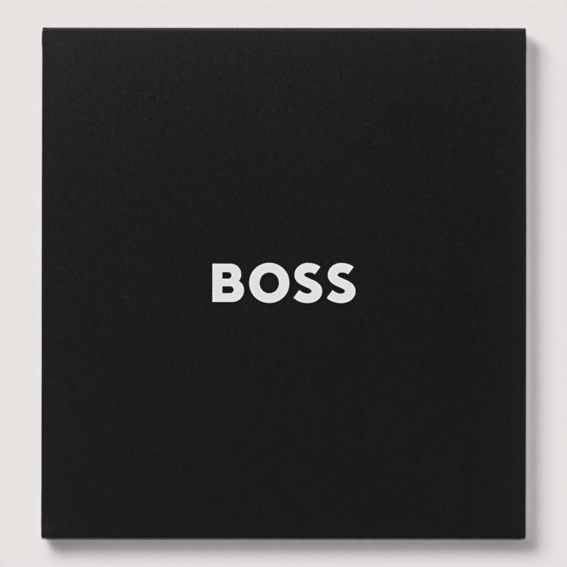 SADA NA VÍNO ICONIC HUGO BOSS